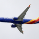 Ilustración para el artículo titulado Seis problemas que los pilotos del Boeing 737 Max 8 registraron meses antes del accidente mortal de Ethiopian Airlines